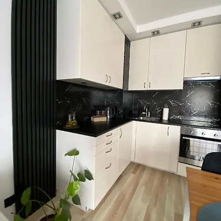 Apartamento Przytulne Mieszkanie W Krakowie *
